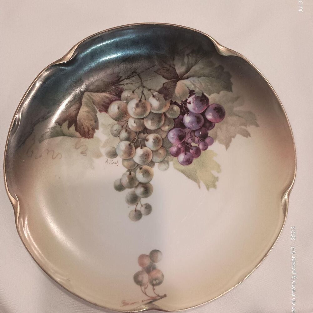 Unbranded Purple and Green Dinnerware